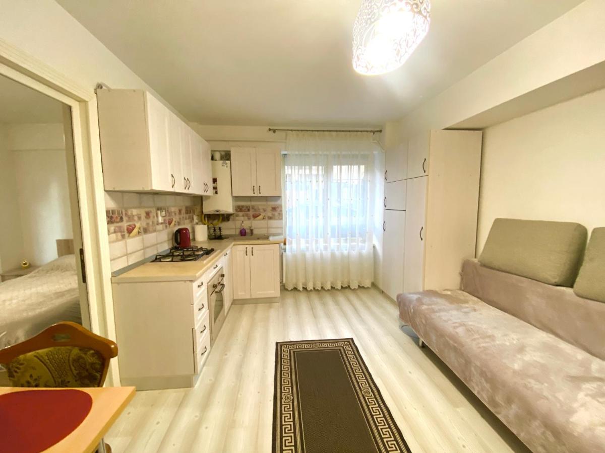 Apartament Sara Apartment Iasi Exterior photo